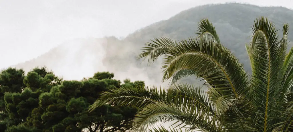 Montenegro Wedding Workshop in Talici Hill Sutomore mit mediterraner Eventlocation, Palme und Bergkulisse für Editorial Destination Wedding Retreat